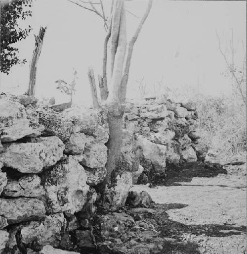 North exterior wall at Gate D after excavation