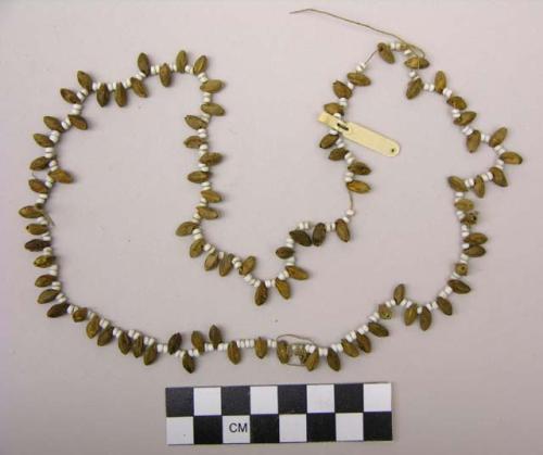 Seed necklace or bandoleer