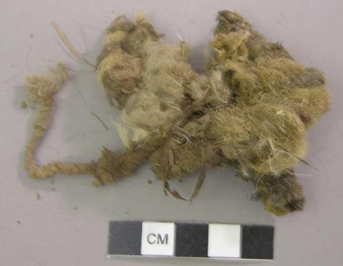 Animal hide fragments with fur, some twisted into a strand