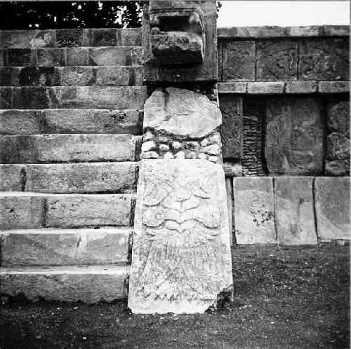 Templo de las Aguilas (temple of the eagles), No 5 of 9