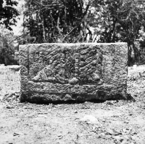 5C7. Sculpted Block of Temple of Owls