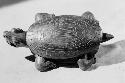 Pottery rattle in shape of turtle