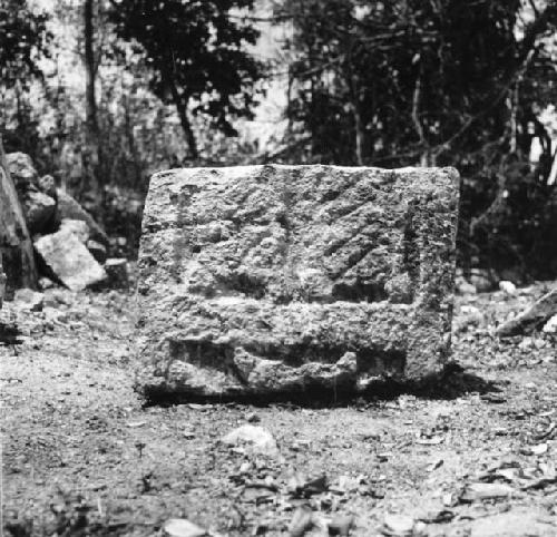 5C7. Sculpted Block of Temple of Owls