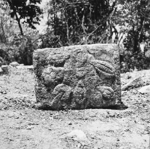 5C7. Sculpted Block of Temple of Owls