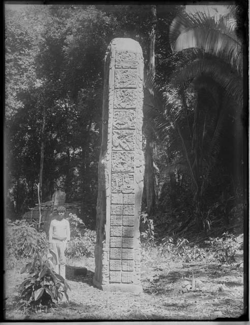 Stela 3 (D) - East Side