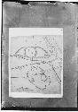 Site plan of mounds and earthworks