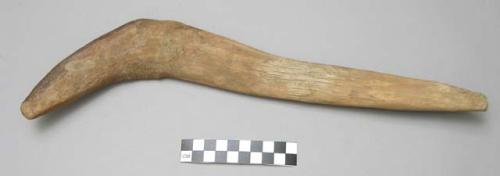 Wooden digging stick