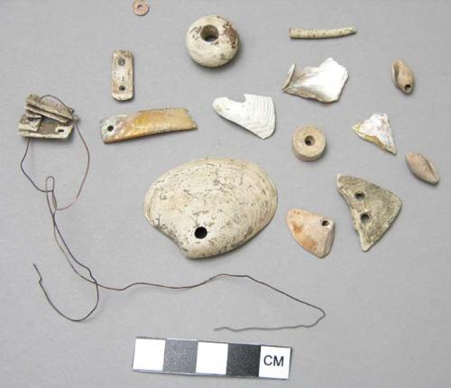 Shell beads, pendants, and fragments