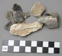 Fragments of burned bones of mammals