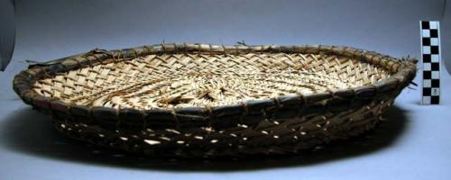 Circular basket trays, woven of palm leaf