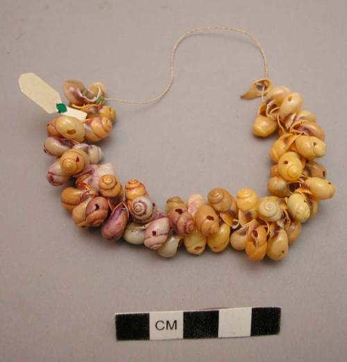 String of shell beads (registroma grande, gray), used as necklace