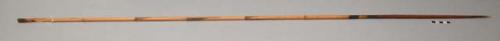 Hunting arrows - palm wood point, bound at base and tips with yellow fiber