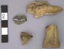 Bone, capra hircus, goat long bone fragment
