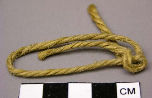 Twine fragment, twisted vegetable fiber