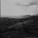 Terracing on hill slopes at Chuitinamit