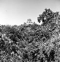View of Tikal