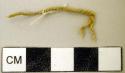 Fragment of cord--2" long, yucca fiber