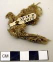 Cotton cloth fragment