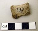 Bone fragment--mountain sheep