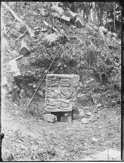 Sculpture with glyphs in grass