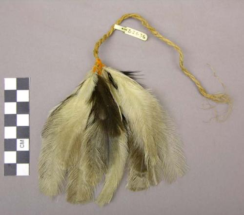 Feather ear ornament