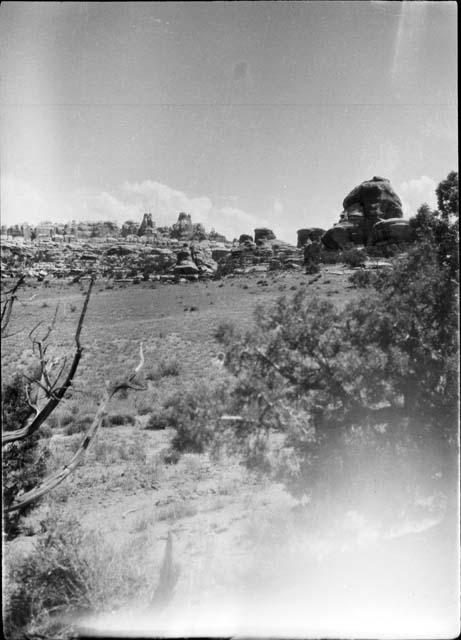 View of the Needles From the Devils Pocket