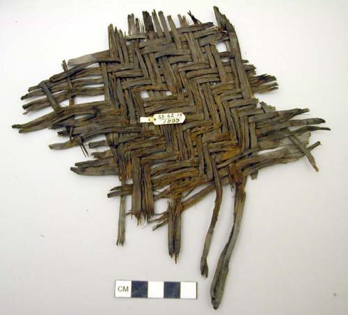 Fragment of yucca matting