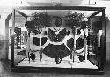 Exhibit Case Containing Hawaiian Featherwork, Peabody Museum