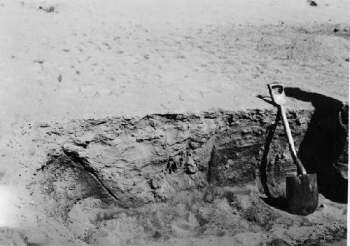 LI-26 Supe Excavation in cemetery showing grave or huaquero intrusion Pit 7