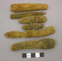 Corn cobs and husks