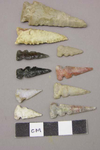 Stone projectile points, side notched,  8 with additional notch on edge