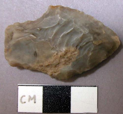 Projectile point