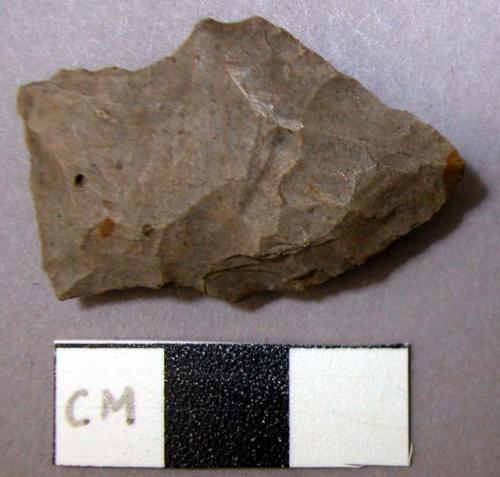 Projectile point