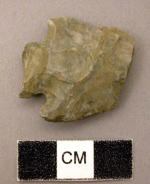 Projectile point