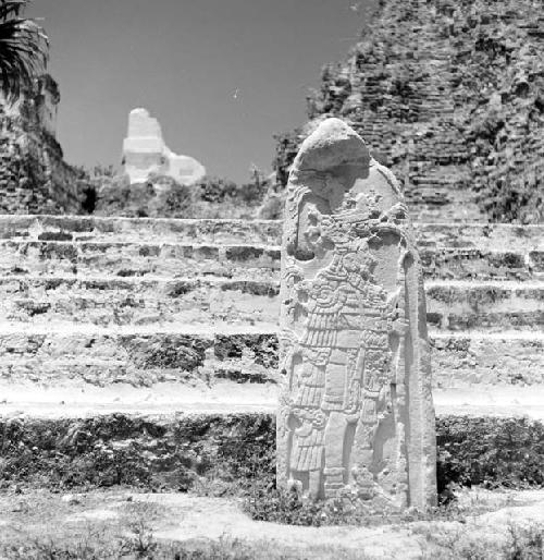 Stelae at Tikal