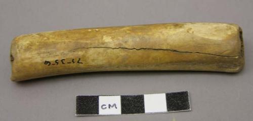 Bone tube