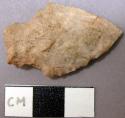 Projectile point