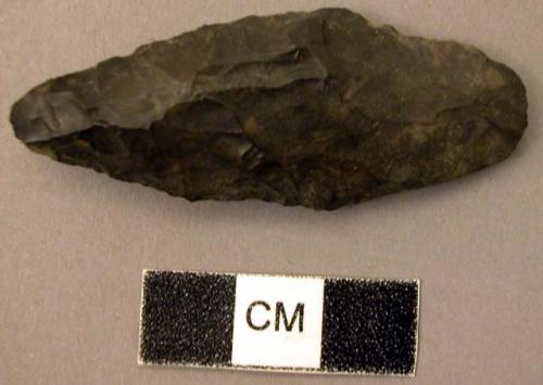 Projectile point