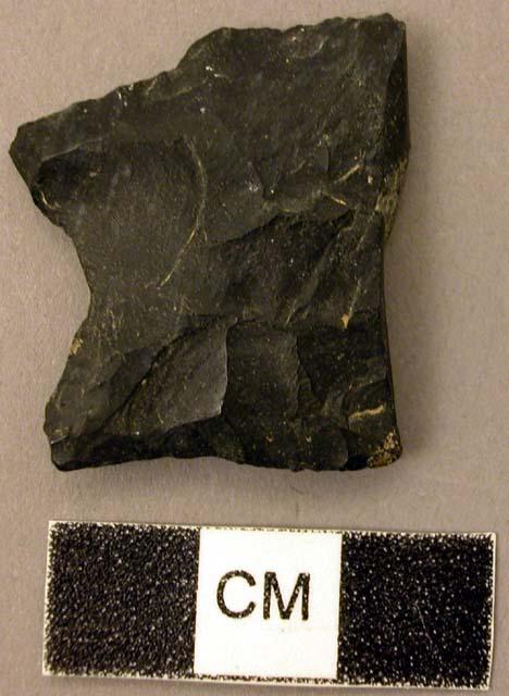 Projectile point