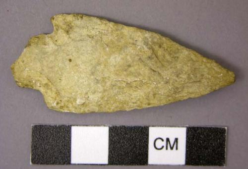 Chipped stone spear points