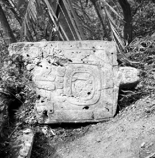 Fragment of Stela 13 at Machaquila