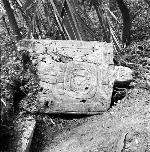 Fragment of Stela 13 at Machaquila