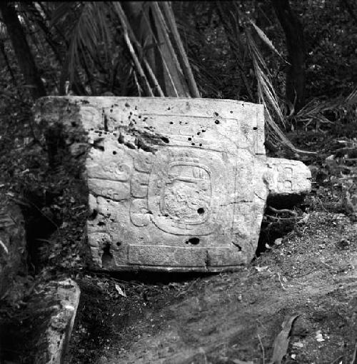 Fragment of Stela 13 at Machaquila