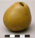 Container, body gourd (sphere)