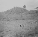 Mounds at Rancho San Joaquin