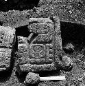 Tablet from Hieroglyphic step at Seibal