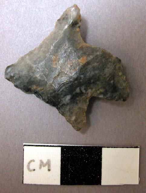 Projectile point