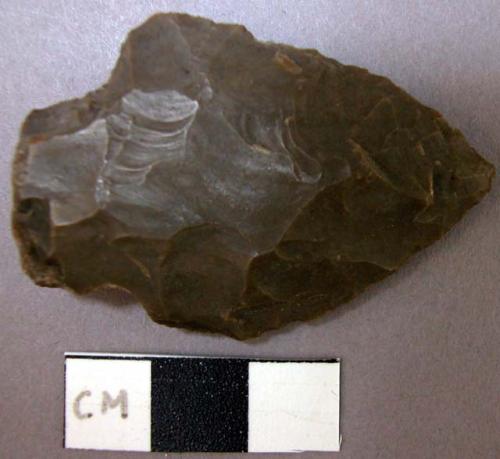 Projectile point