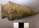 Projectile point