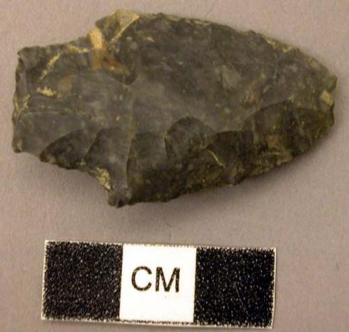 Projectile point